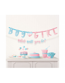 Γιρλάντα γράμματα Kit The Big Reveal Paper (Αποκάλυψη φύλου)/ 2 τεμ 187 x 25 cm / 182 x 12 cm 25405-120638_55-1-3-1500_-min