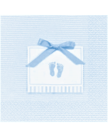 Χαρτοπετσέτες φαγητού 33εκ για πατουσάκια baby soft blue  2_1185807023