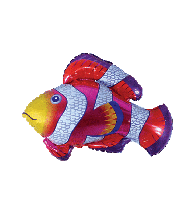 901632-Clownfish-Fuchsia1-300x220